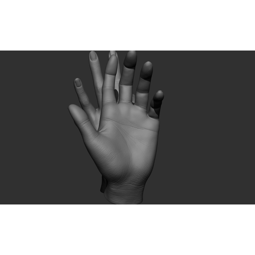 Female Hand Poses 3D Model – Realistic ZBrush Sculptures, OBJ, FBX - View 72