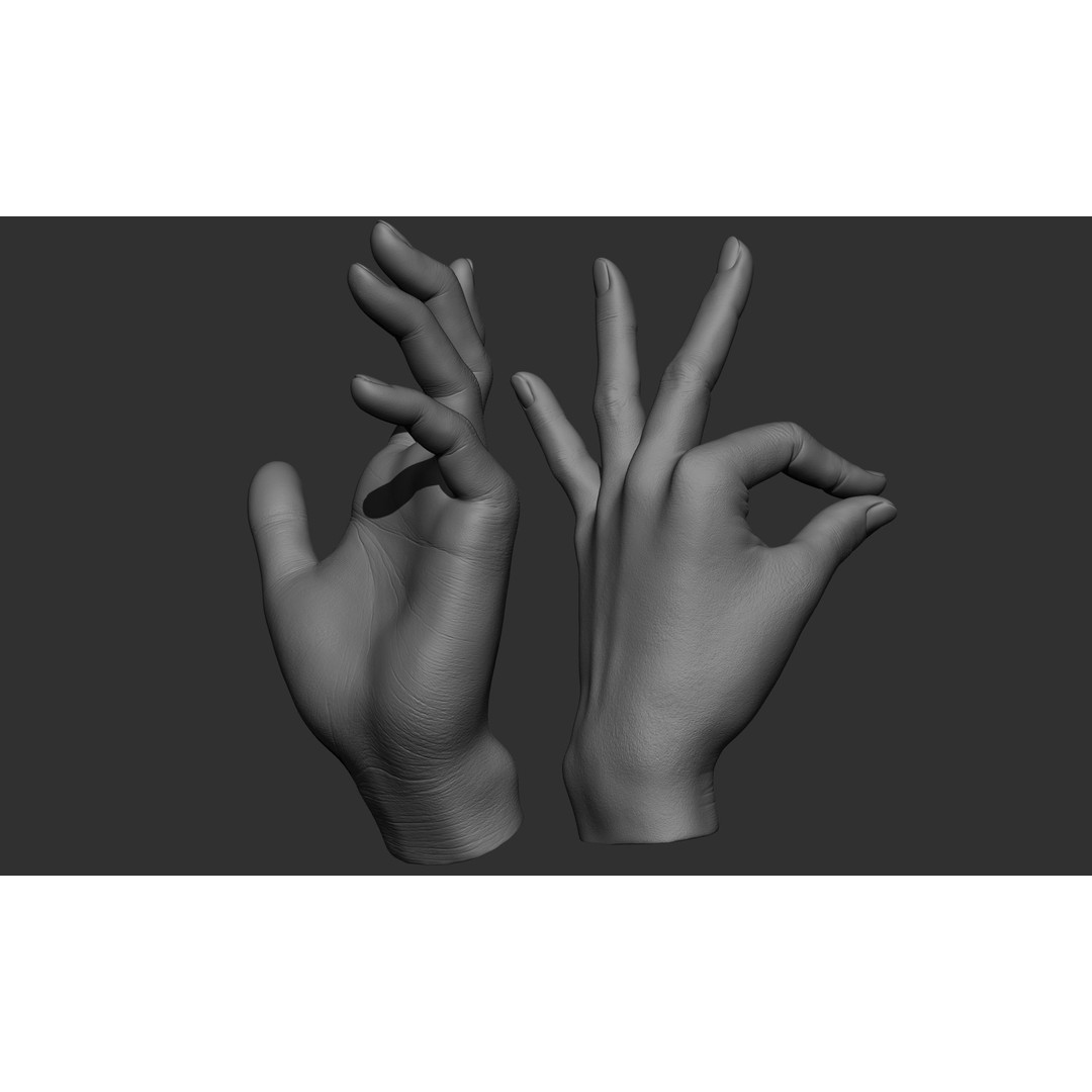 Female Hand Poses 3D Model – Realistic ZBrush Sculptures, OBJ, FBX - View 73