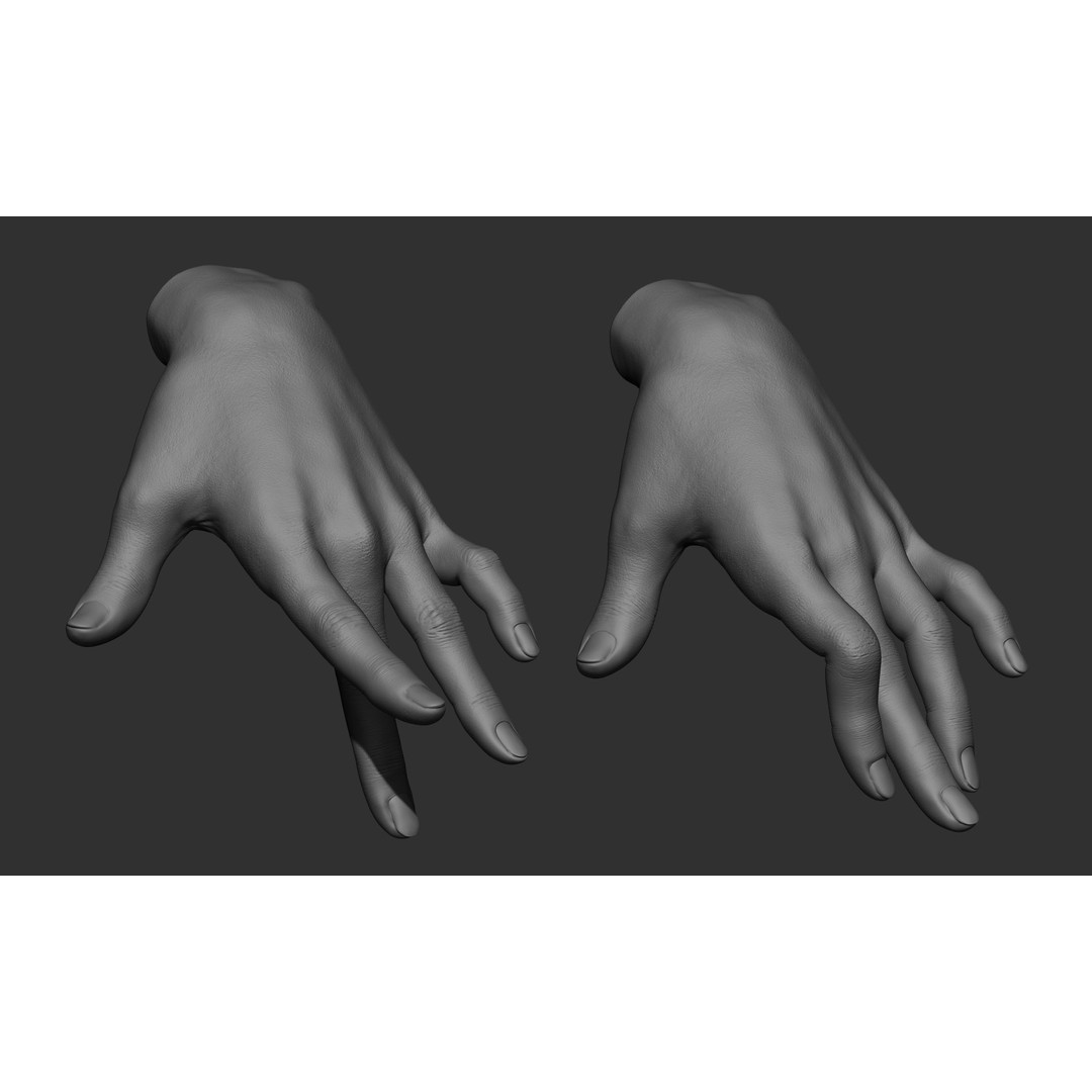 Female Hand Poses 3D Model – Realistic ZBrush Sculptures, OBJ, FBX - View 74