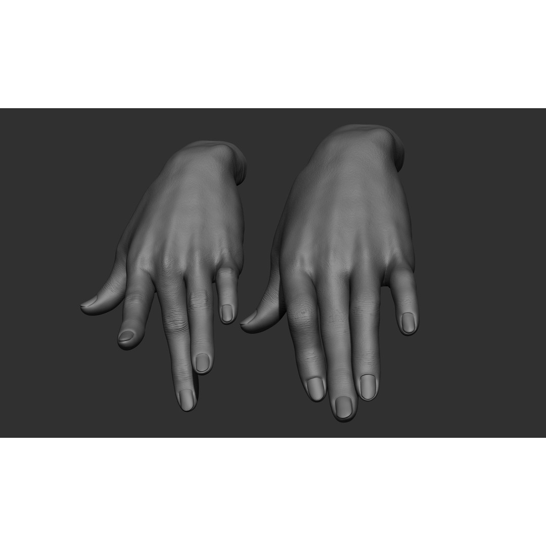 Female Hand Poses 3D Model – Realistic ZBrush Sculptures, OBJ, FBX - View 75