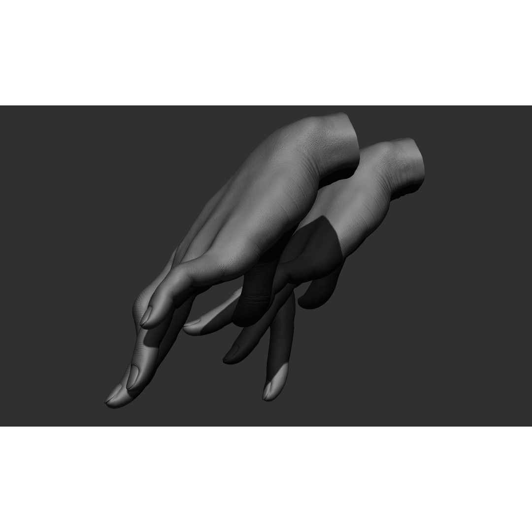 Female Hand Poses 3D Model – Realistic ZBrush Sculptures, OBJ, FBX - View 76