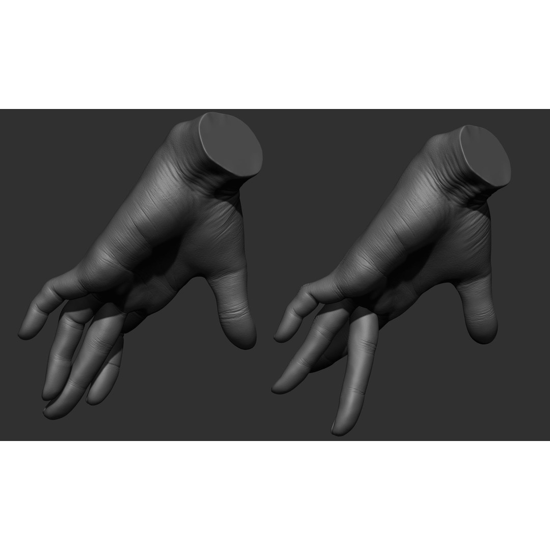 Female Hand Poses 3D Model – Realistic ZBrush Sculptures, OBJ, FBX - View 77