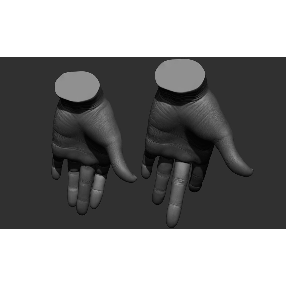 Female Hand Poses 3D Model – Realistic ZBrush Sculptures, OBJ, FBX - View 78