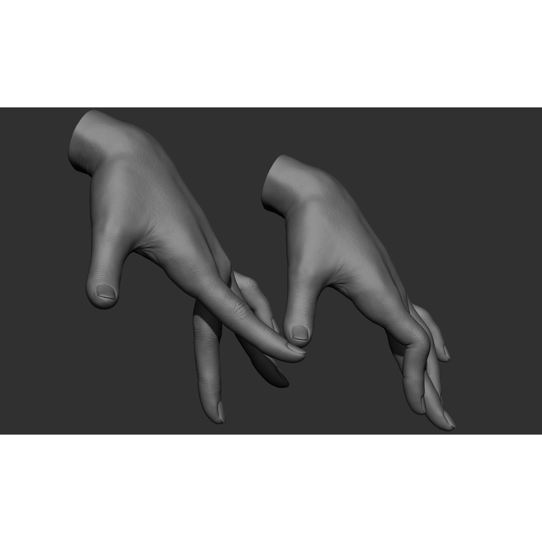 Female Hand Poses 3D Model – Realistic ZBrush Sculptures, OBJ, FBX - View 79