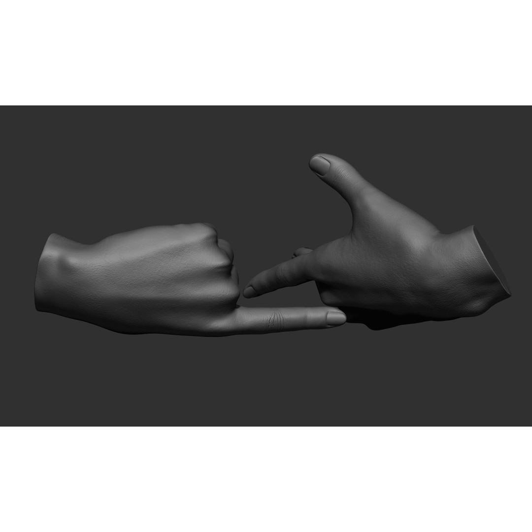 Female Hand Poses 3D Model – Realistic ZBrush Sculptures, OBJ, FBX - View 9