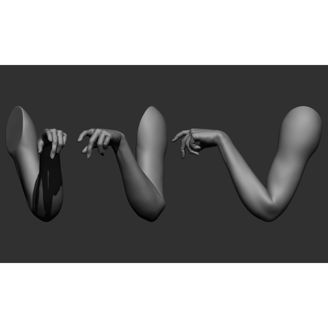 Female Arm Poses 3D Model – Realistic Anatomy Collection, FBX & OBJ - View 10