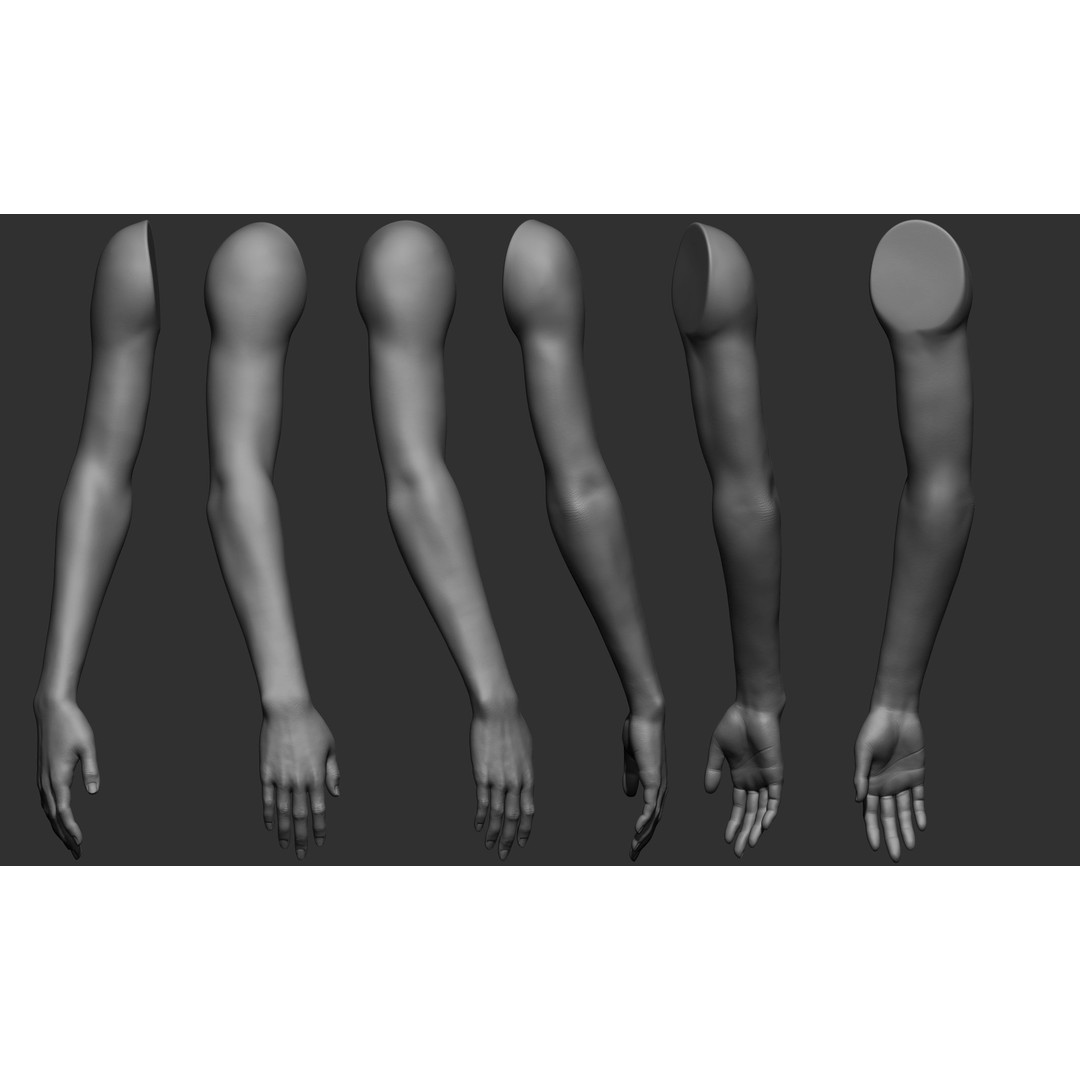 Female Arm Poses 3D Model – Realistic Anatomy Collection, FBX & OBJ - View 11