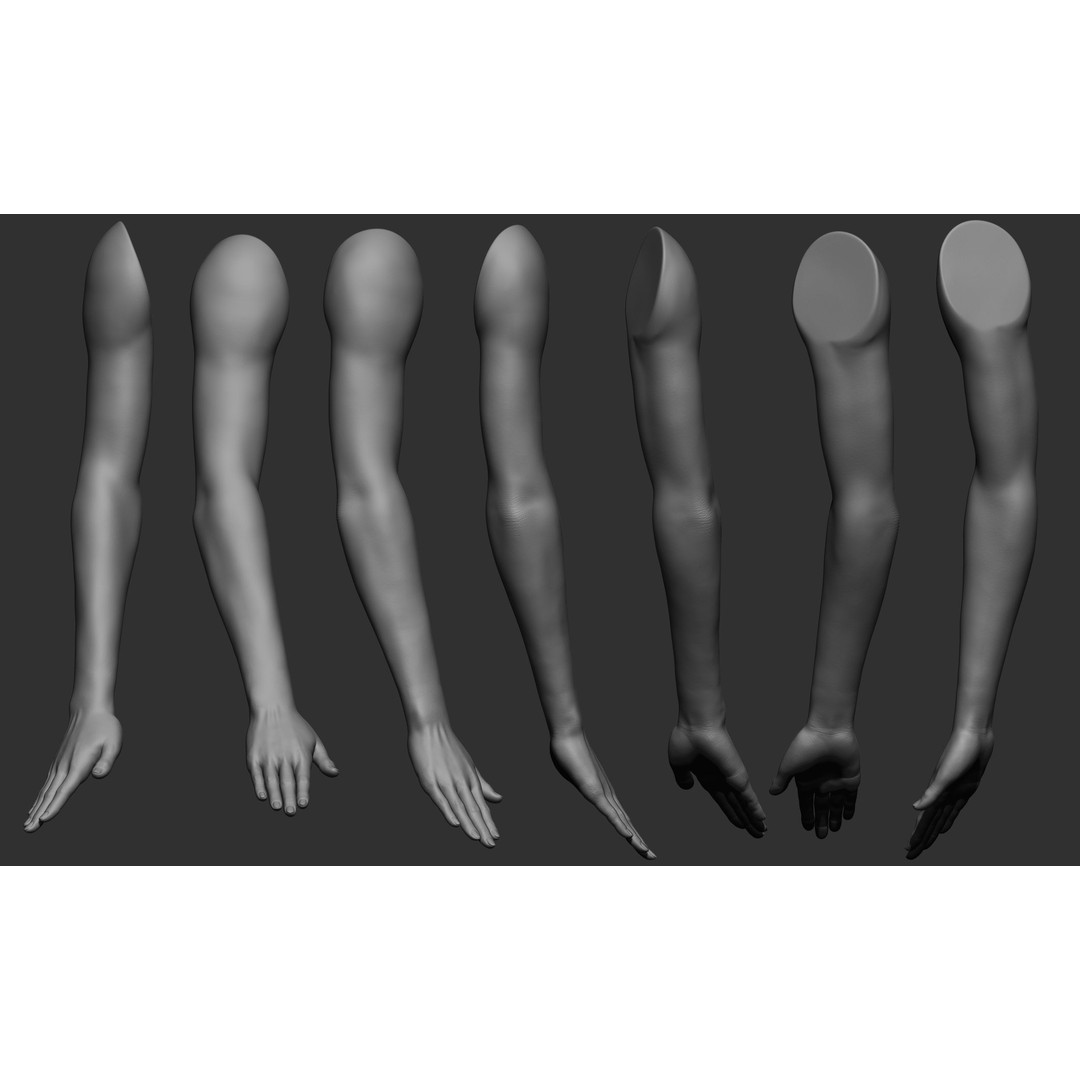 Female Arm Poses 3D Model – Realistic Anatomy Collection, FBX & OBJ - View 12