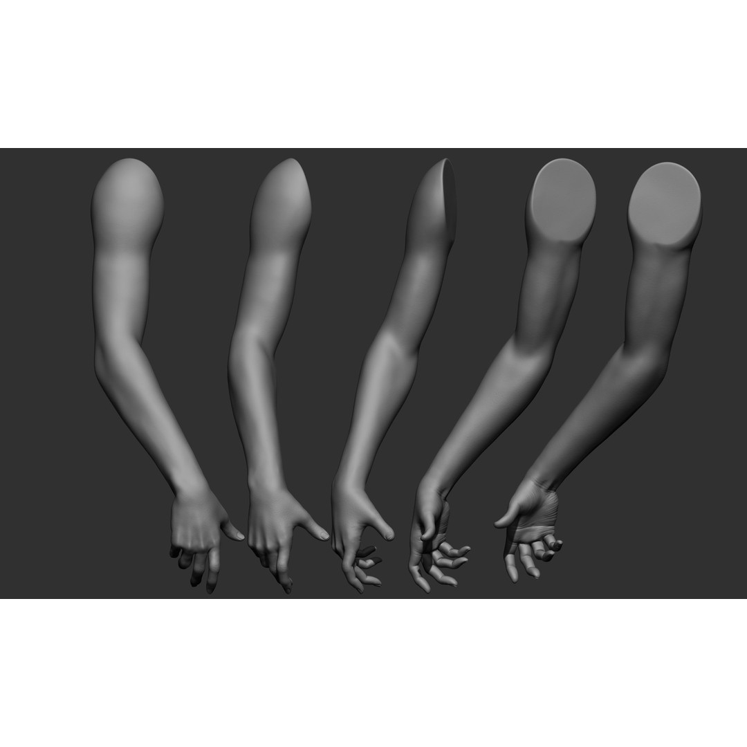 Female Arm Poses 3D Model – Realistic Anatomy Collection, FBX & OBJ - View 16