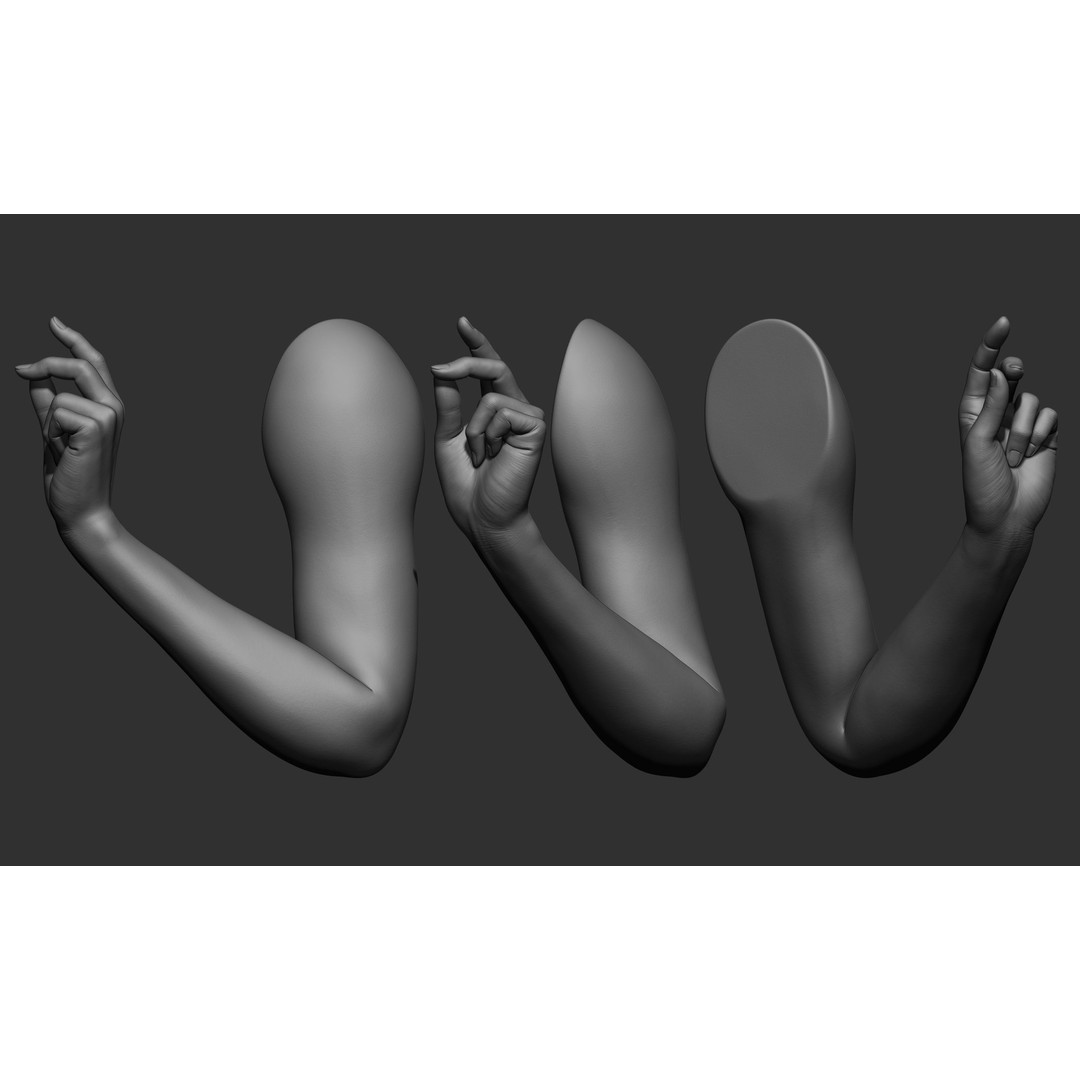 Female Arm Poses 3D Model – Realistic Anatomy Collection, FBX & OBJ - View 18