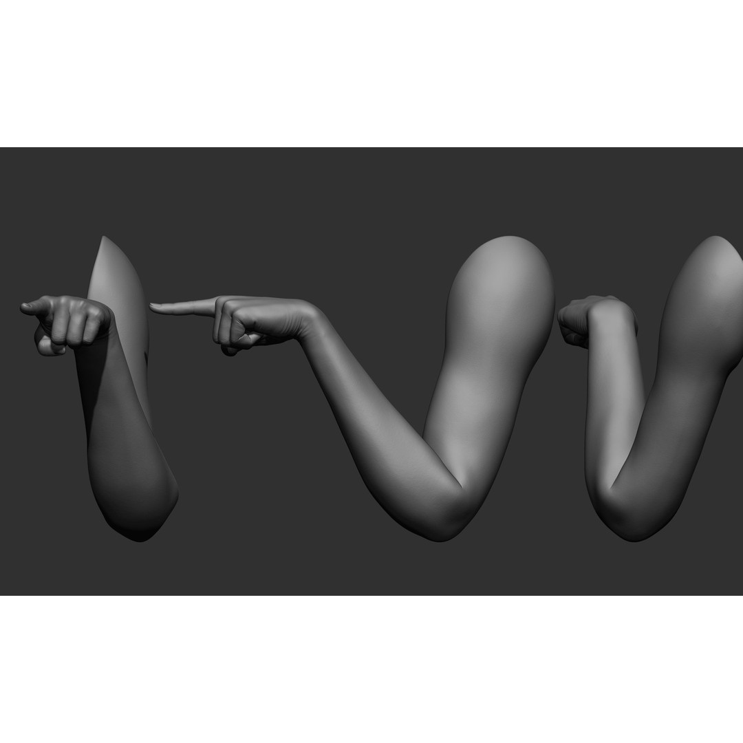 Female Arm Poses 3D Model – Realistic Anatomy Collection, FBX & OBJ - View 20