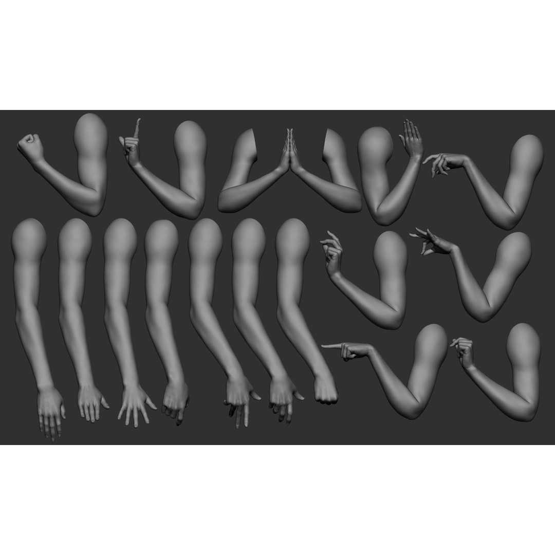 Female Arm Poses 3D Model – Realistic Anatomy Collection, FBX & OBJ - View 3