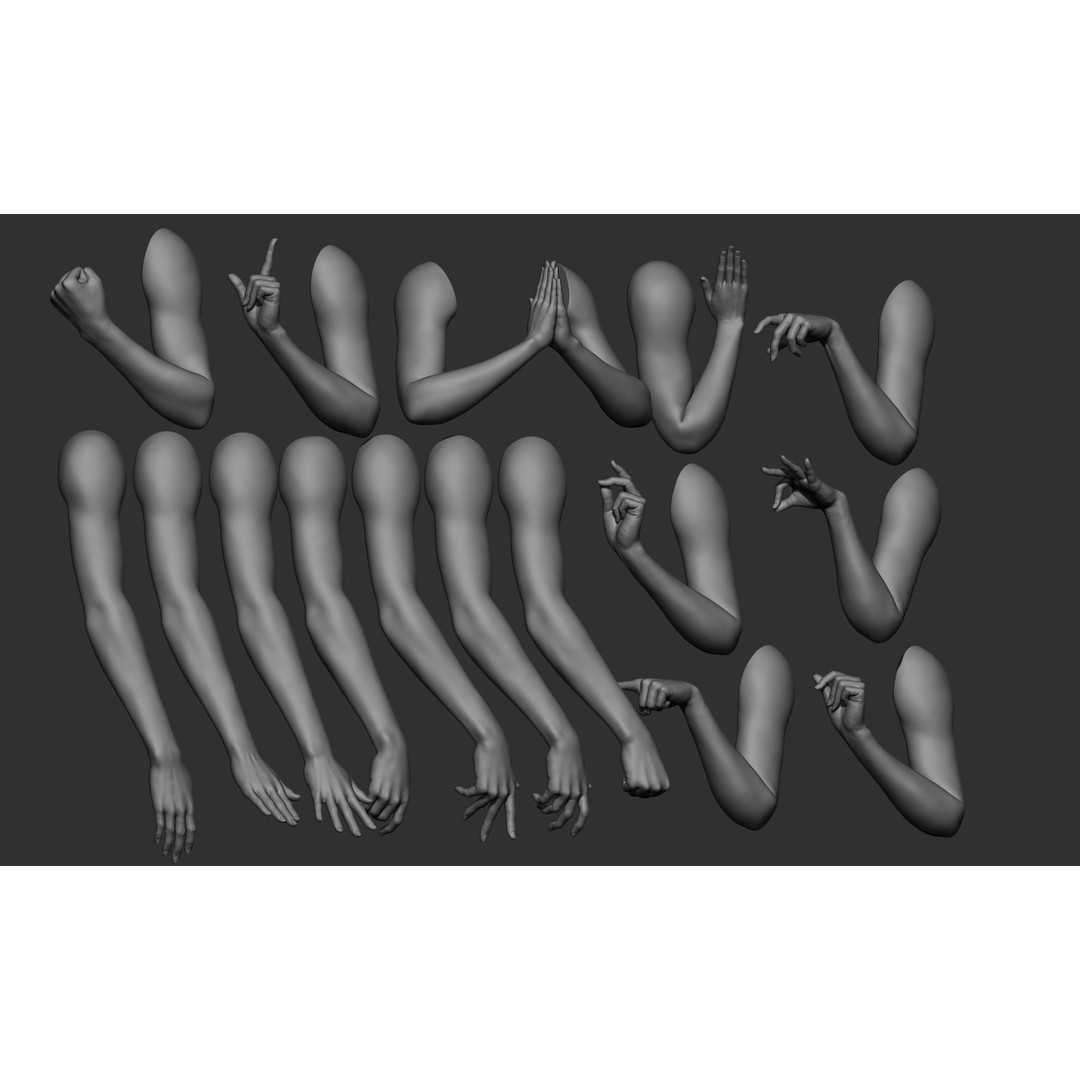 Female Arm Poses 3D Model – Realistic Anatomy Collection, FBX & OBJ - View 5