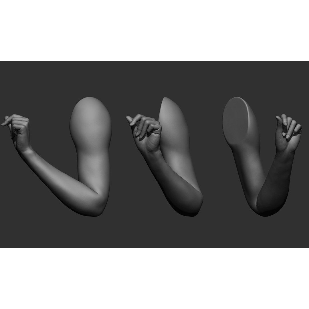 Female Arm Poses 3D Model – Realistic Anatomy Collection, FBX & OBJ - View 6