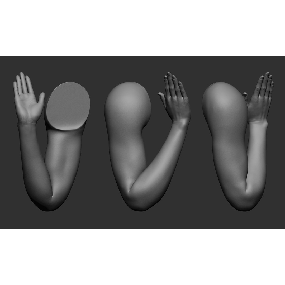 Female Arm Poses 3D Model – Realistic Anatomy Collection, FBX & OBJ - View 9