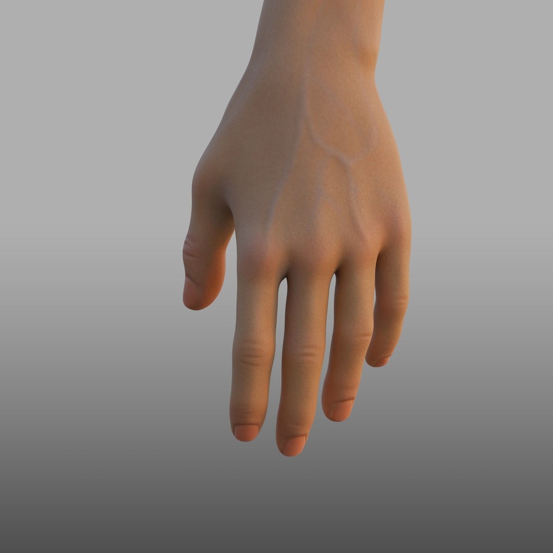 Hand Anatomy 3D Model – Rigged PBR Character Asset, FBX - View 10