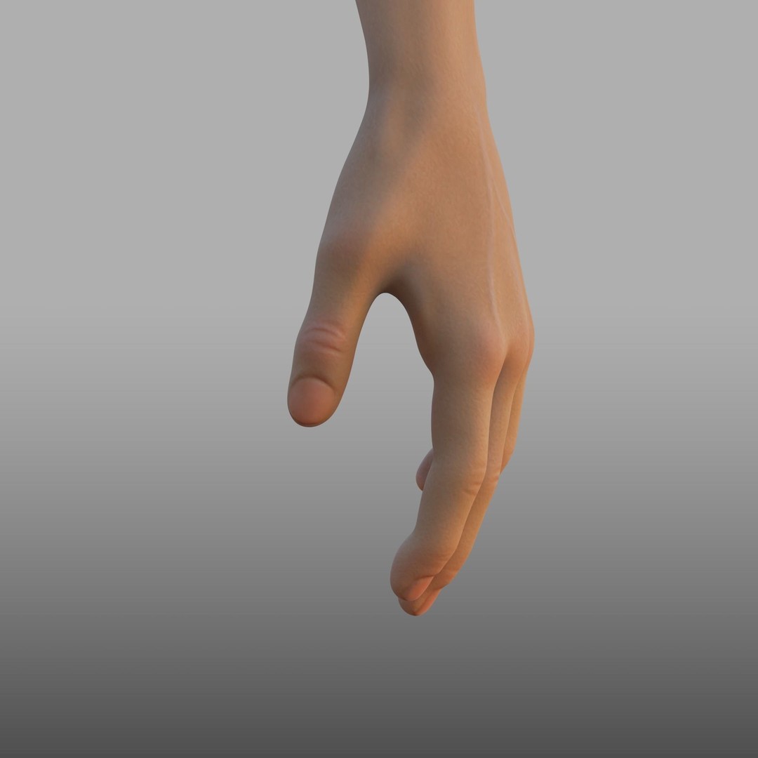 Hand Anatomy 3D Model – Rigged PBR Character Asset, FBX - View 11
