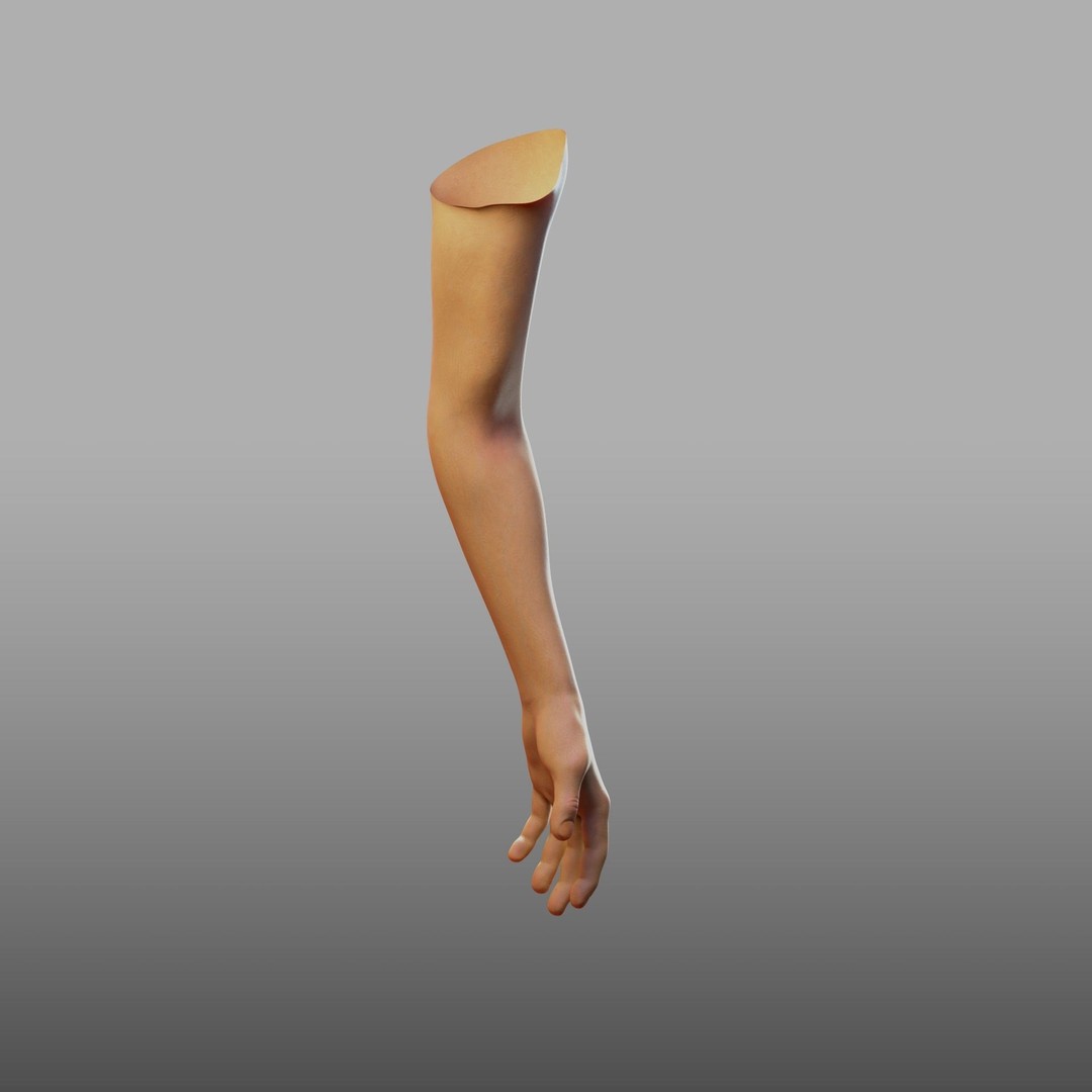 Hand Anatomy 3D Model – Rigged PBR Character Asset, FBX - View 12