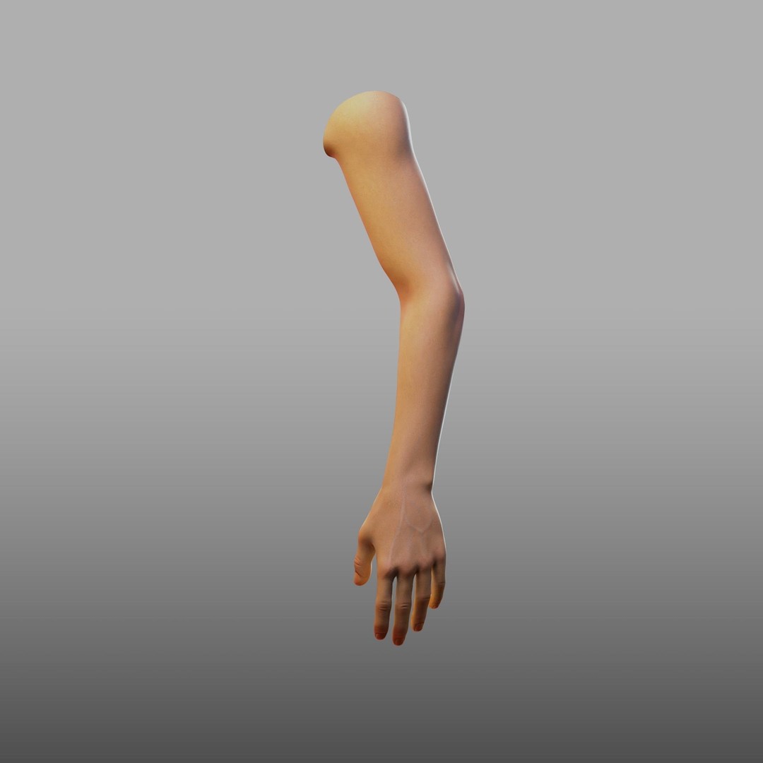 Hand Anatomy 3D Model – Rigged PBR Character Asset, FBX - View 13
