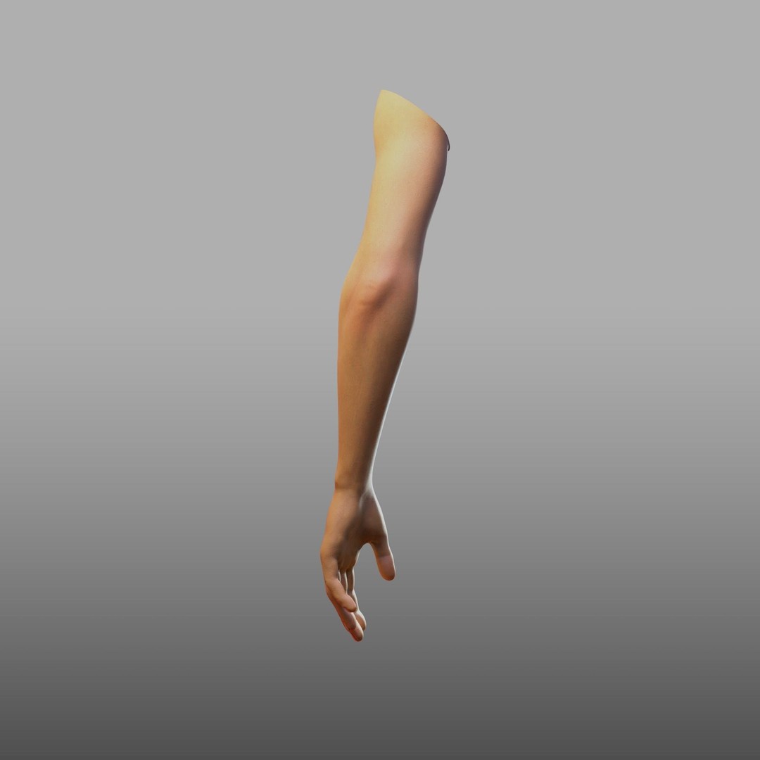 Hand Anatomy 3D Model – Rigged PBR Character Asset, FBX - View 14