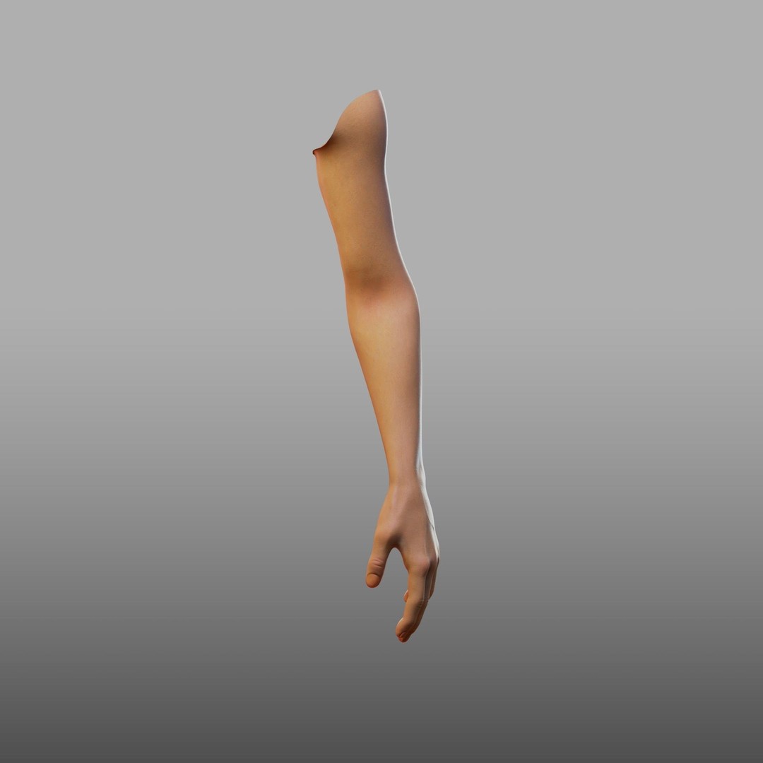 Hand Anatomy 3D Model – Rigged PBR Character Asset, FBX - View 15