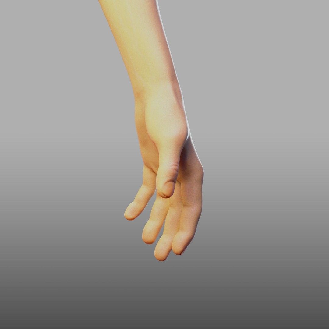 Hand Anatomy 3D Model – Rigged PBR Character Asset, FBX - View 16
