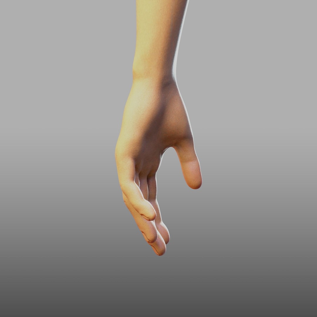 Hand Anatomy 3D Model – Rigged PBR Character Asset, FBX - View 17
