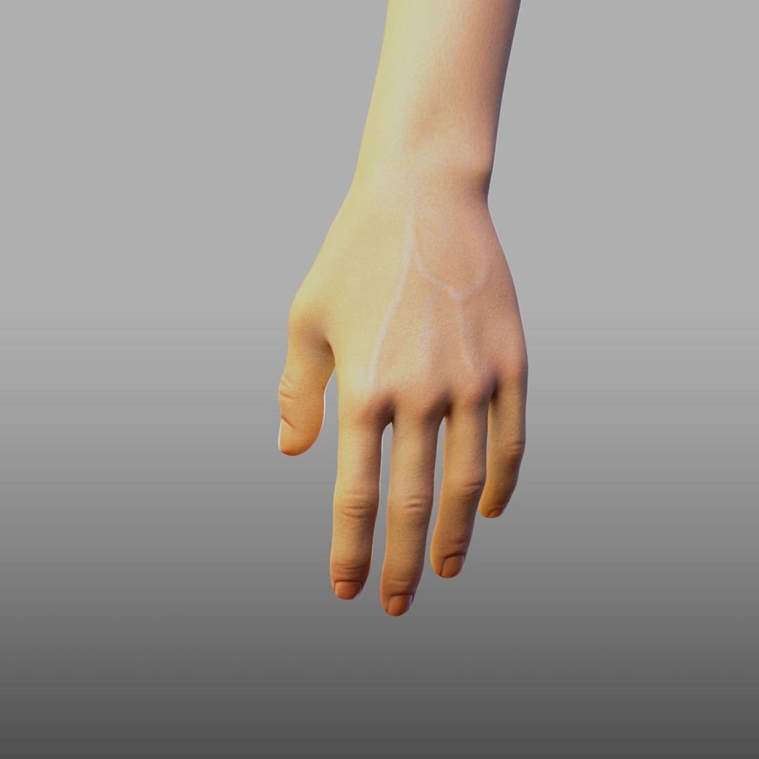Hand Anatomy 3D Model – Rigged PBR Character Asset, FBX - View 18