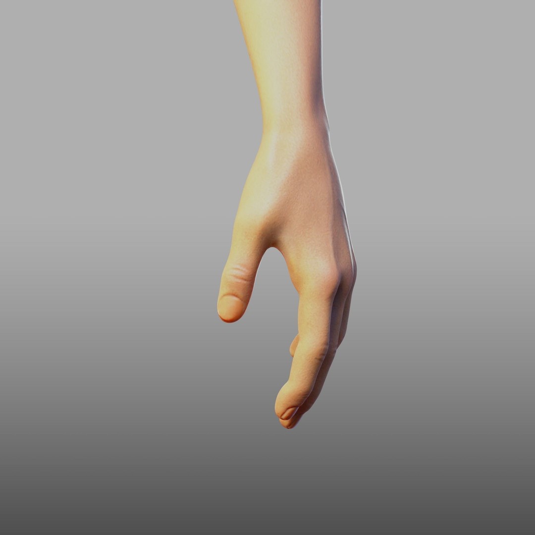 Hand Anatomy 3D Model – Rigged PBR Character Asset, FBX - View 19