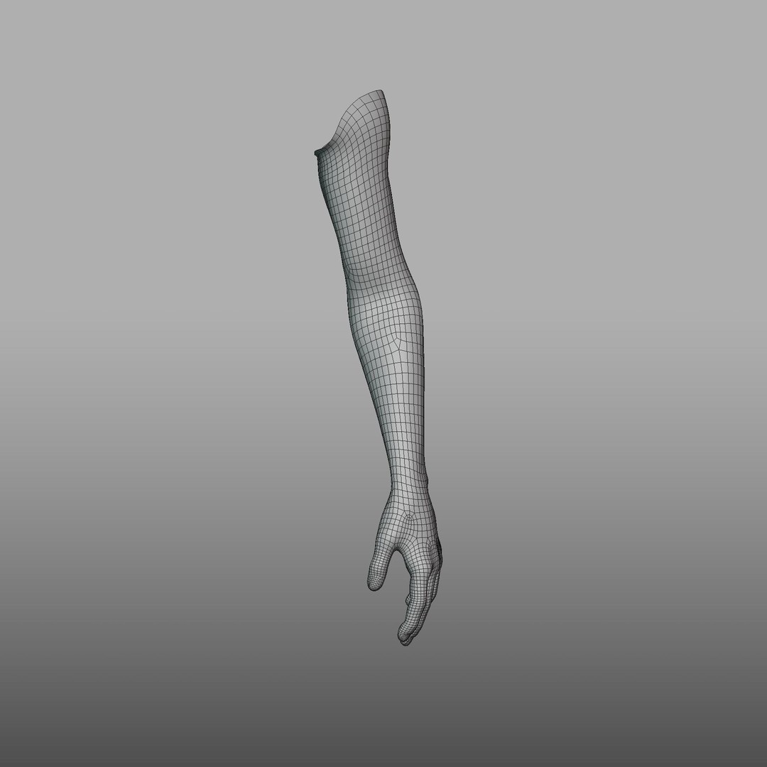 Hand Anatomy 3D Model – Rigged PBR Character Asset, FBX - View 20