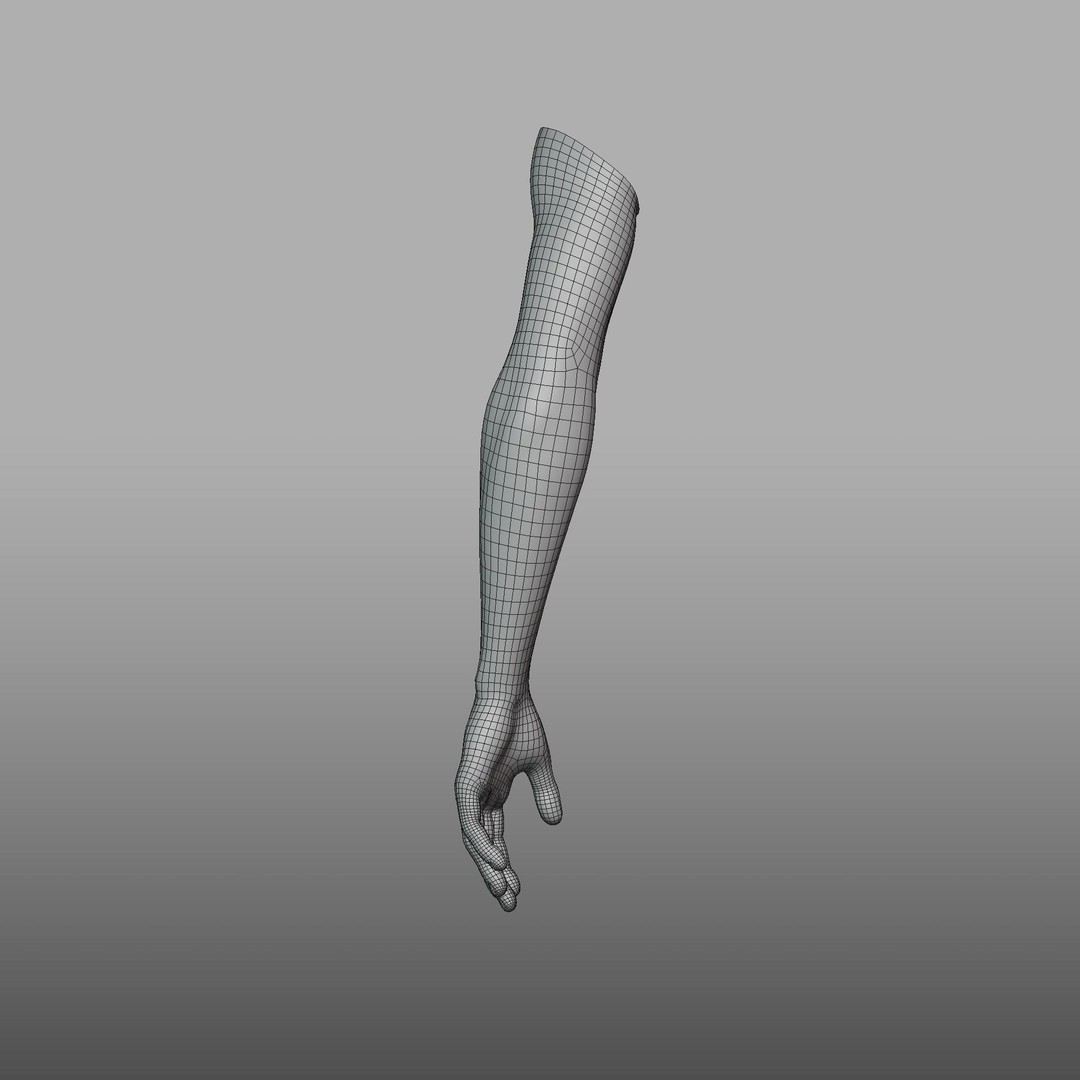 Hand Anatomy 3D Model – Rigged PBR Character Asset, FBX - View 22