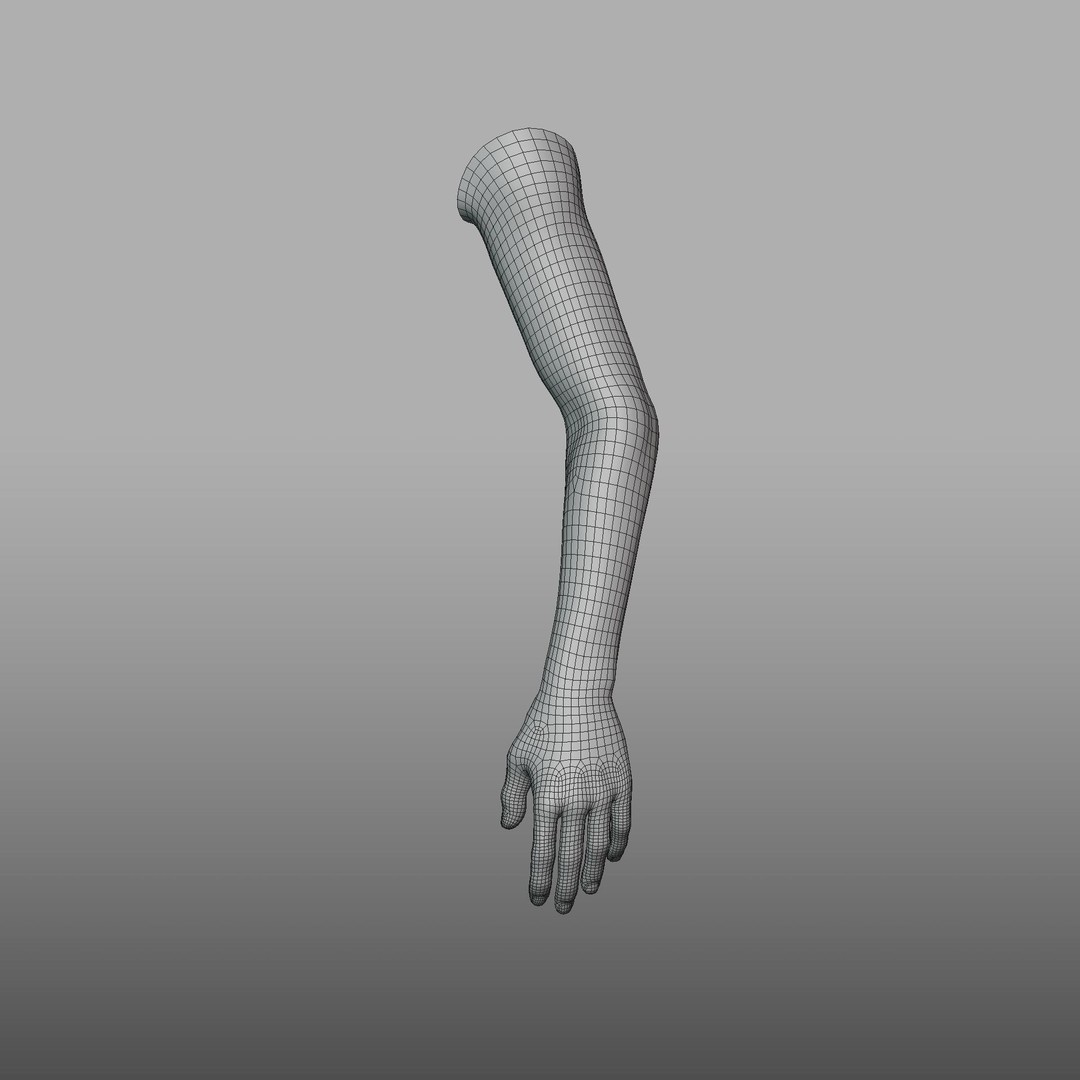 Hand Anatomy 3D Model – Rigged PBR Character Asset, FBX - View 23