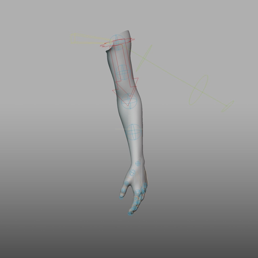 Hand Anatomy 3D Model – Rigged PBR Character Asset, FBX - View 24