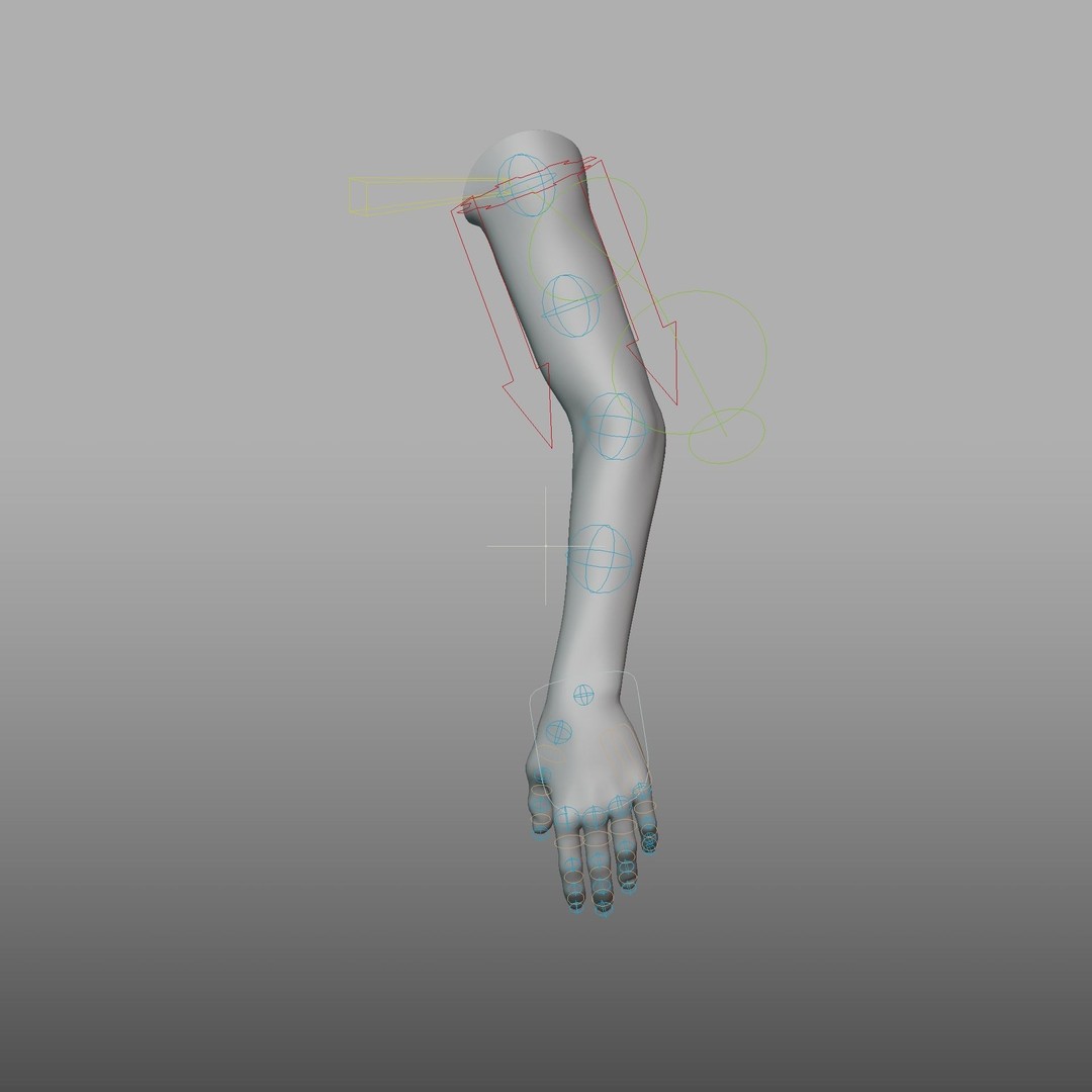 Hand Anatomy 3D Model – Rigged PBR Character Asset, FBX - View 25