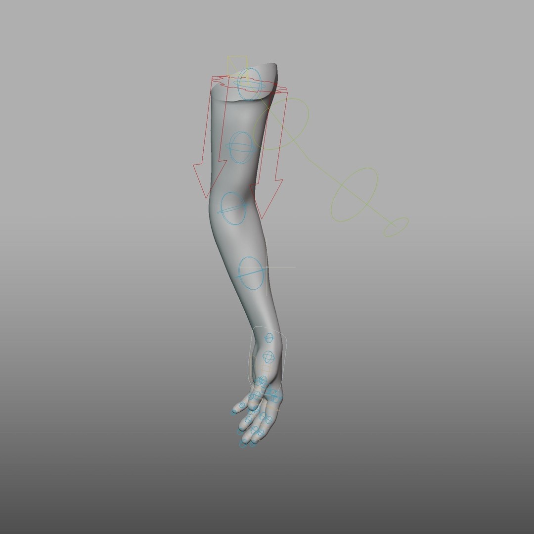 Hand Anatomy 3D Model – Rigged PBR Character Asset, FBX - View 26