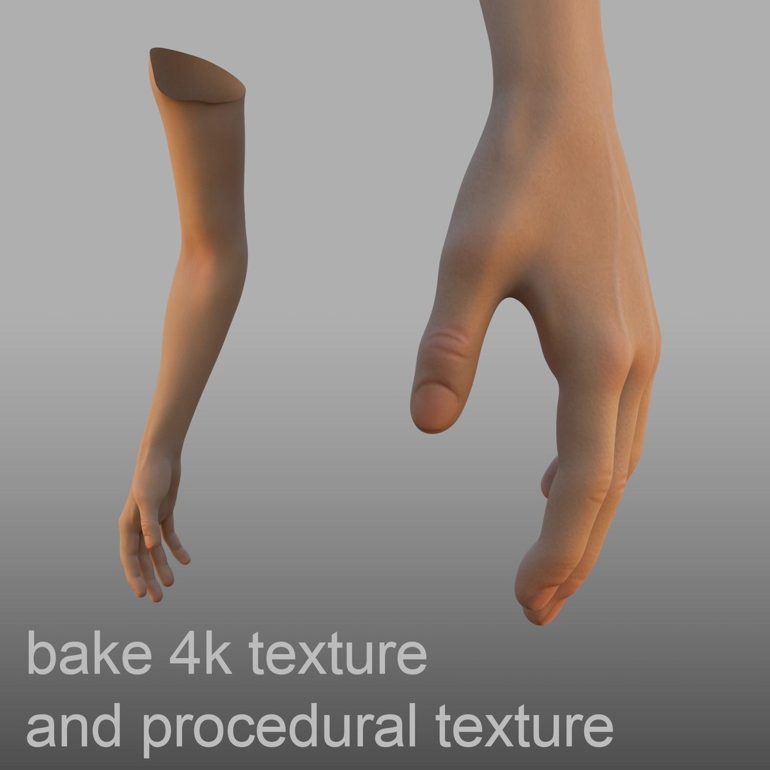 Hand Anatomy 3D Model – Rigged PBR Character Asset, FBX - View 3