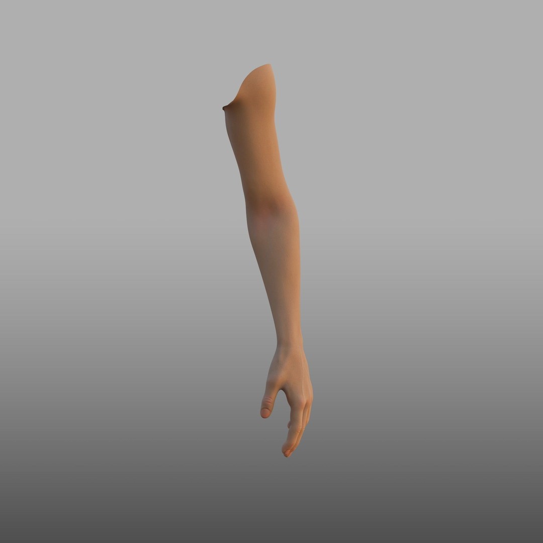 Hand Anatomy 3D Model – Rigged PBR Character Asset, FBX - View 4