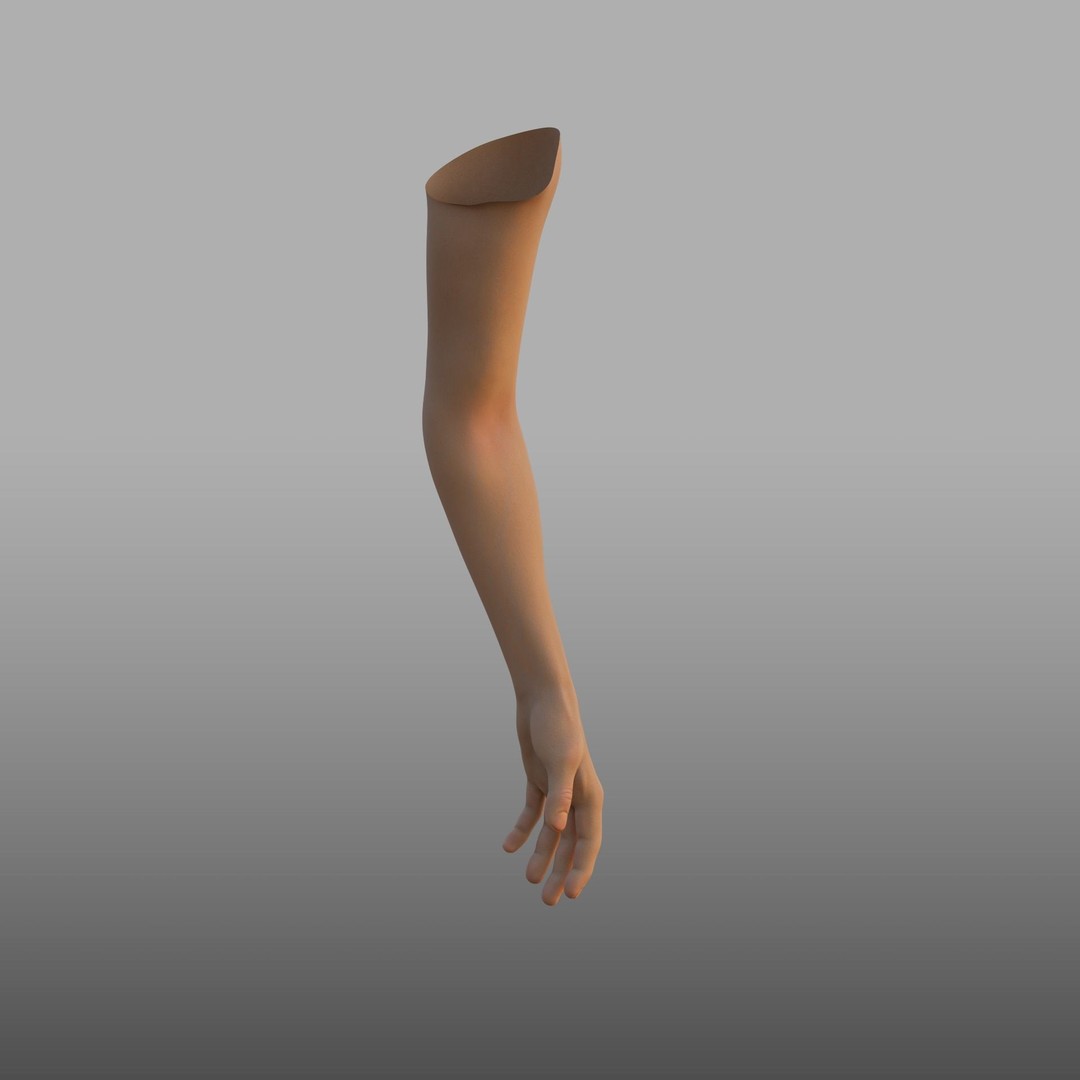 Hand Anatomy 3D Model – Rigged PBR Character Asset, FBX - View 5