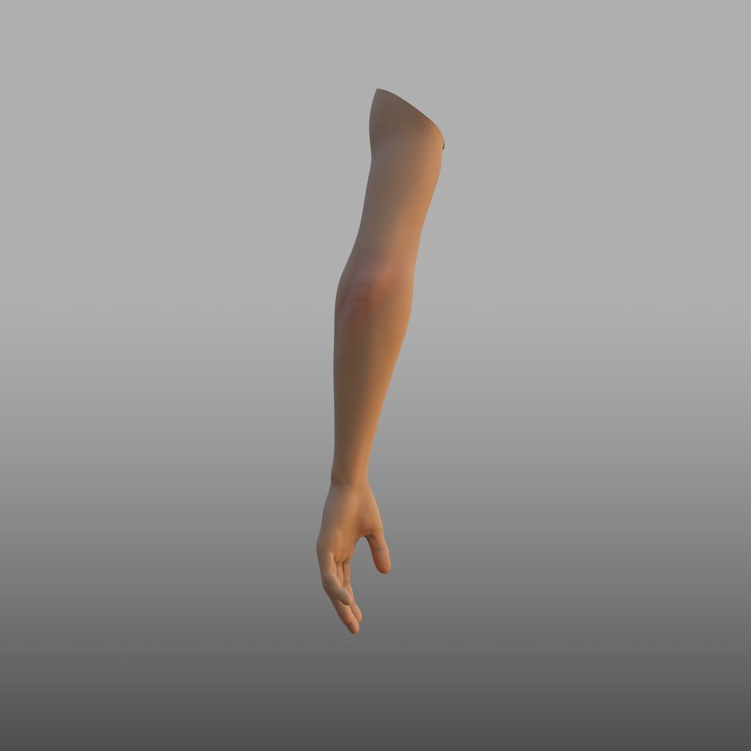 Hand Anatomy 3D Model – Rigged PBR Character Asset, FBX - View 6