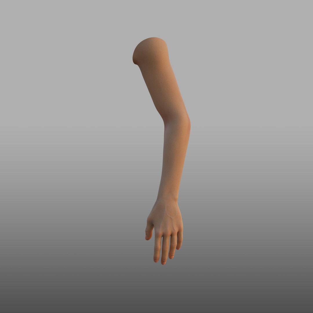 Hand Anatomy 3D Model – Rigged PBR Character Asset, FBX - View 7
