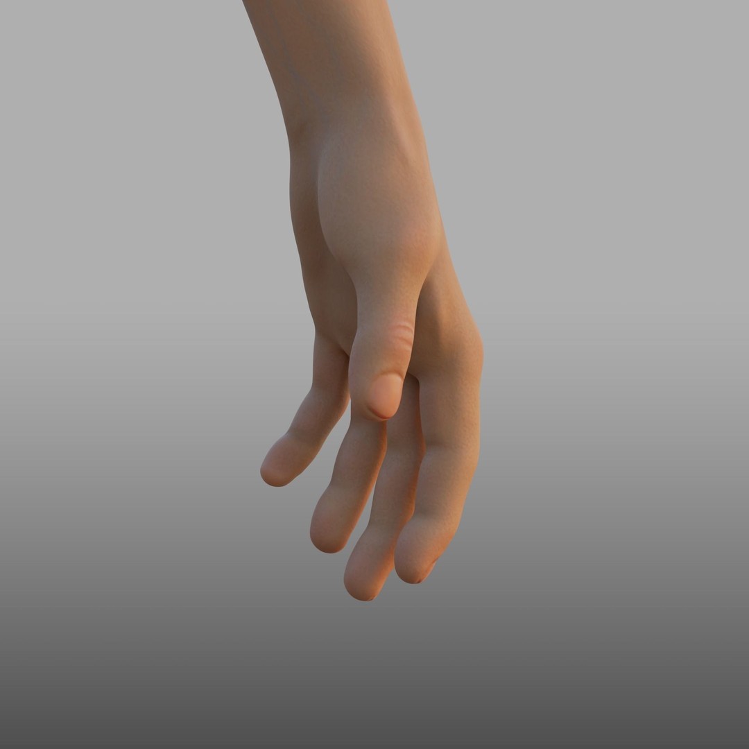 Hand Anatomy 3D Model – Rigged PBR Character Asset, FBX - View 8