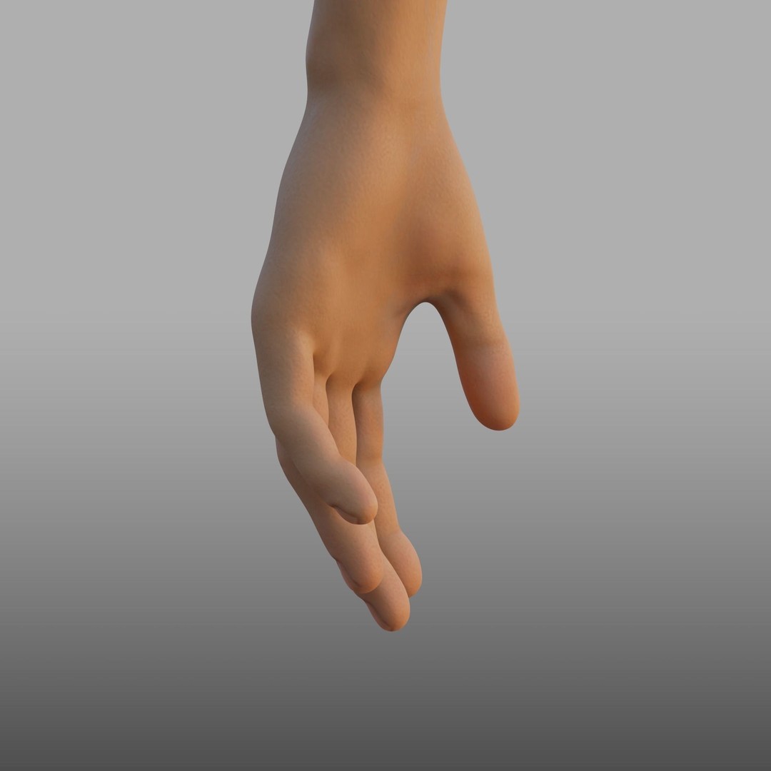 Hand Anatomy 3D Model – Rigged PBR Character Asset, FBX - View 9