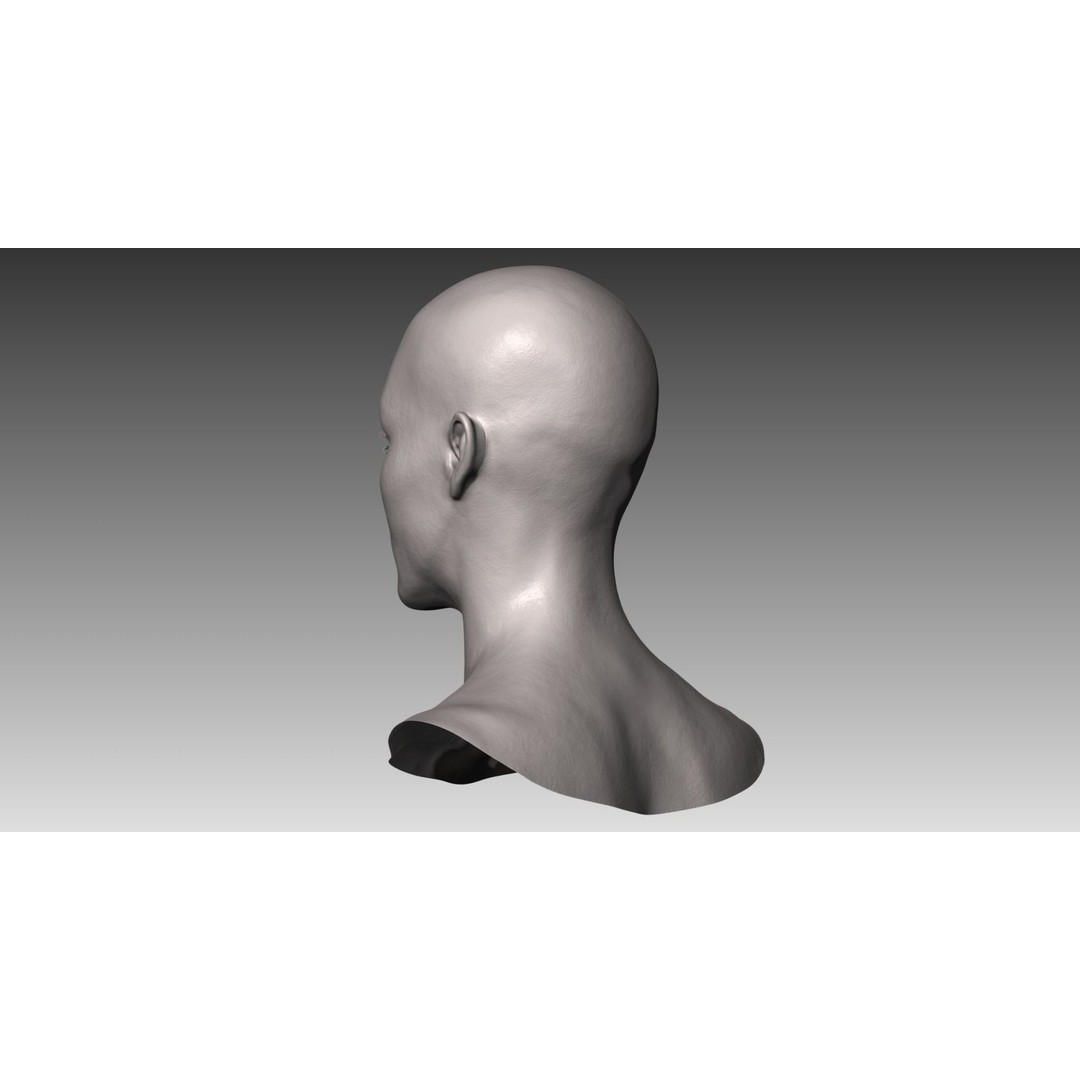 Realistic Male and Female Head 3D Model – High Poly ZBrush Anatomy - View 10