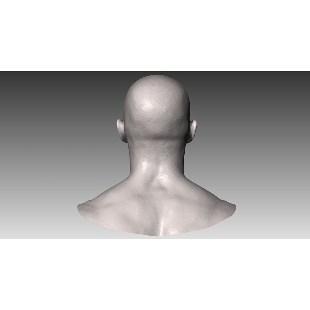 Realistic Male and Female Head 3D Model – High Poly ZBrush Anatomy - View 11