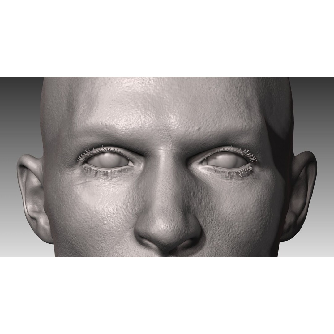 Realistic Male and Female Head 3D Model – High Poly ZBrush Anatomy - View 15