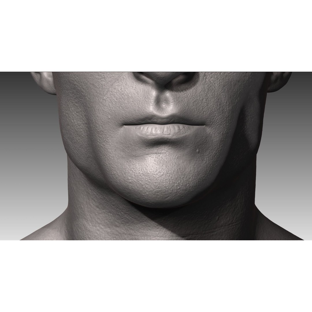 Realistic Male and Female Head 3D Model – High Poly ZBrush Anatomy - View 17