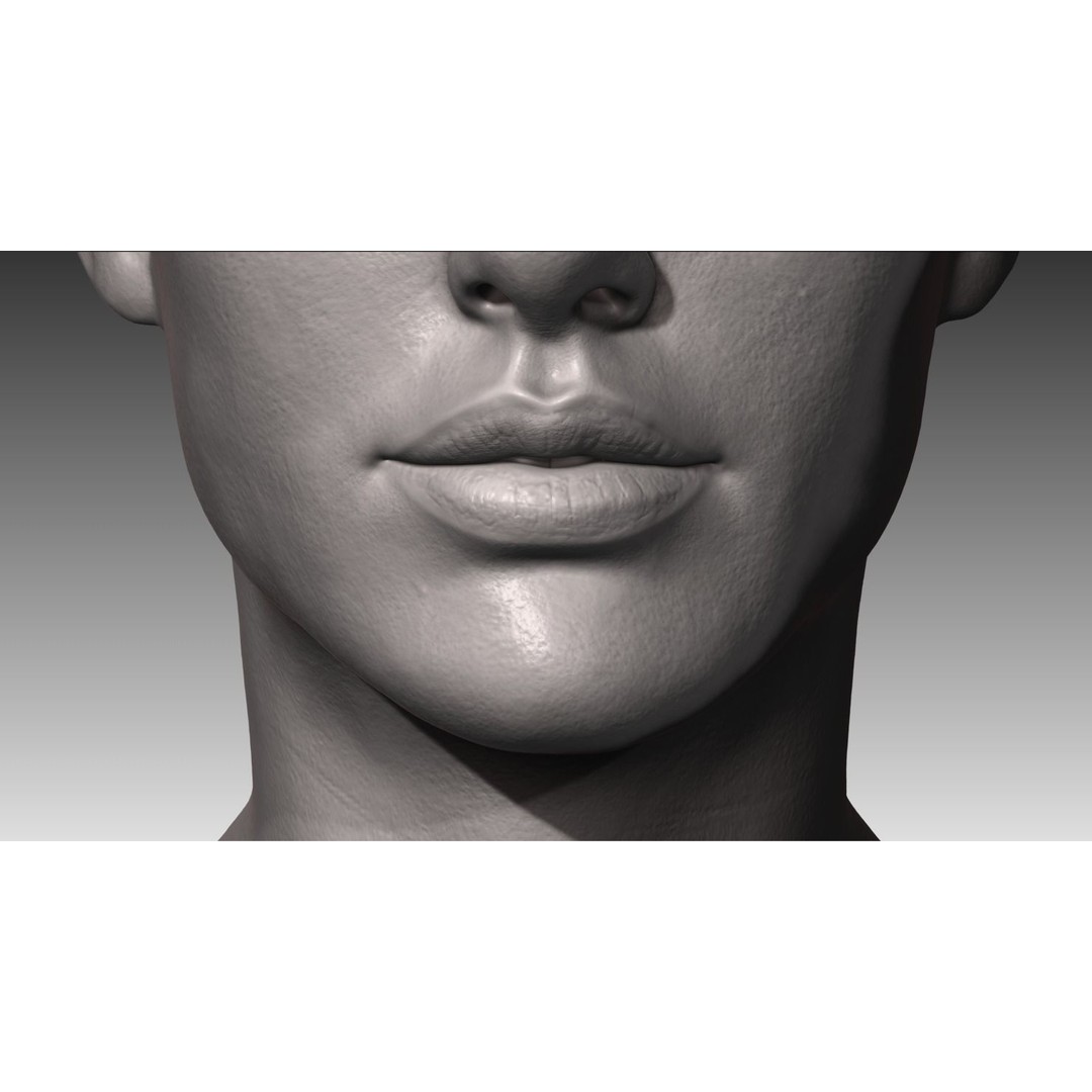 Realistic Male and Female Head 3D Model – High Poly ZBrush Anatomy - View 18