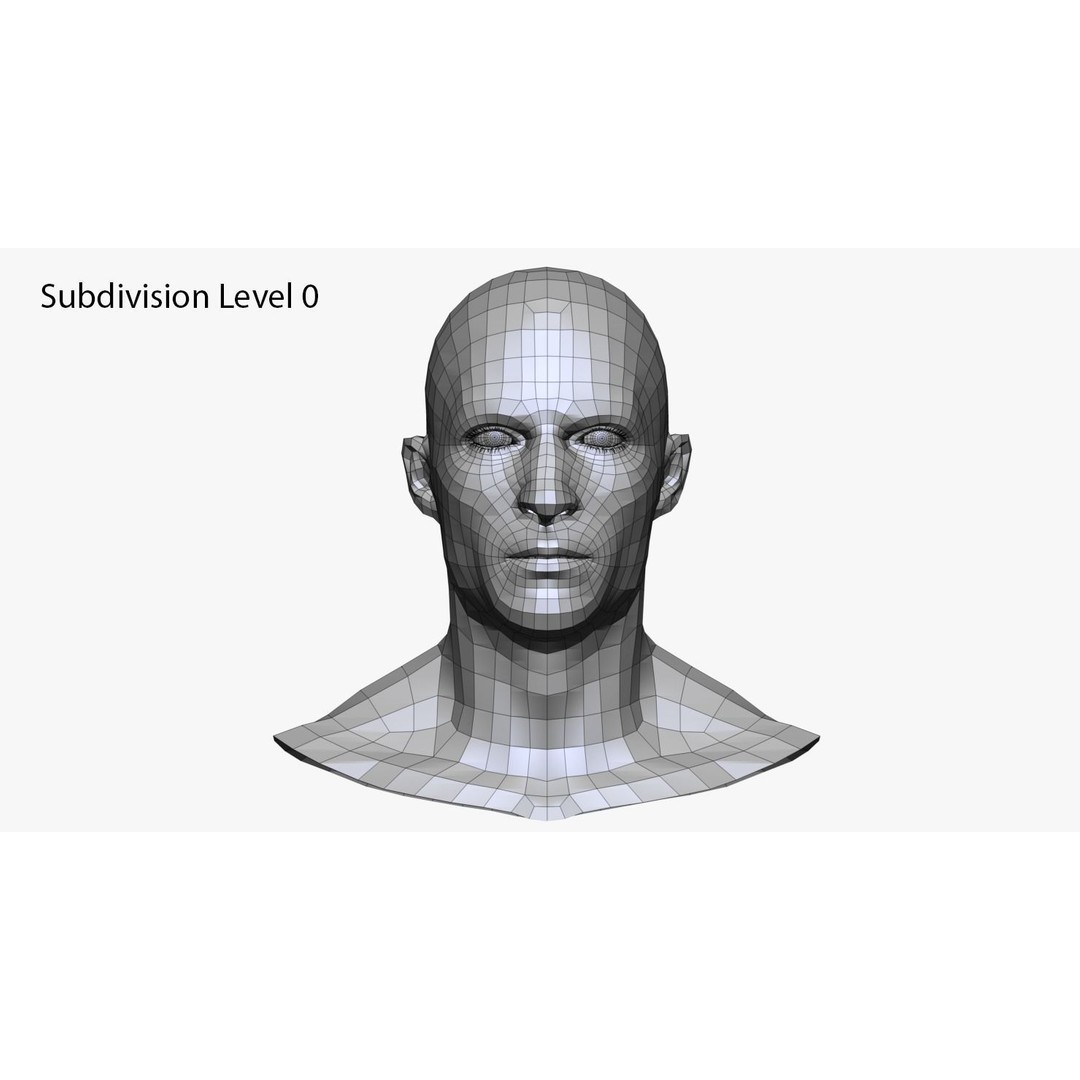 Realistic Male and Female Head 3D Model – High Poly ZBrush Anatomy - View 19