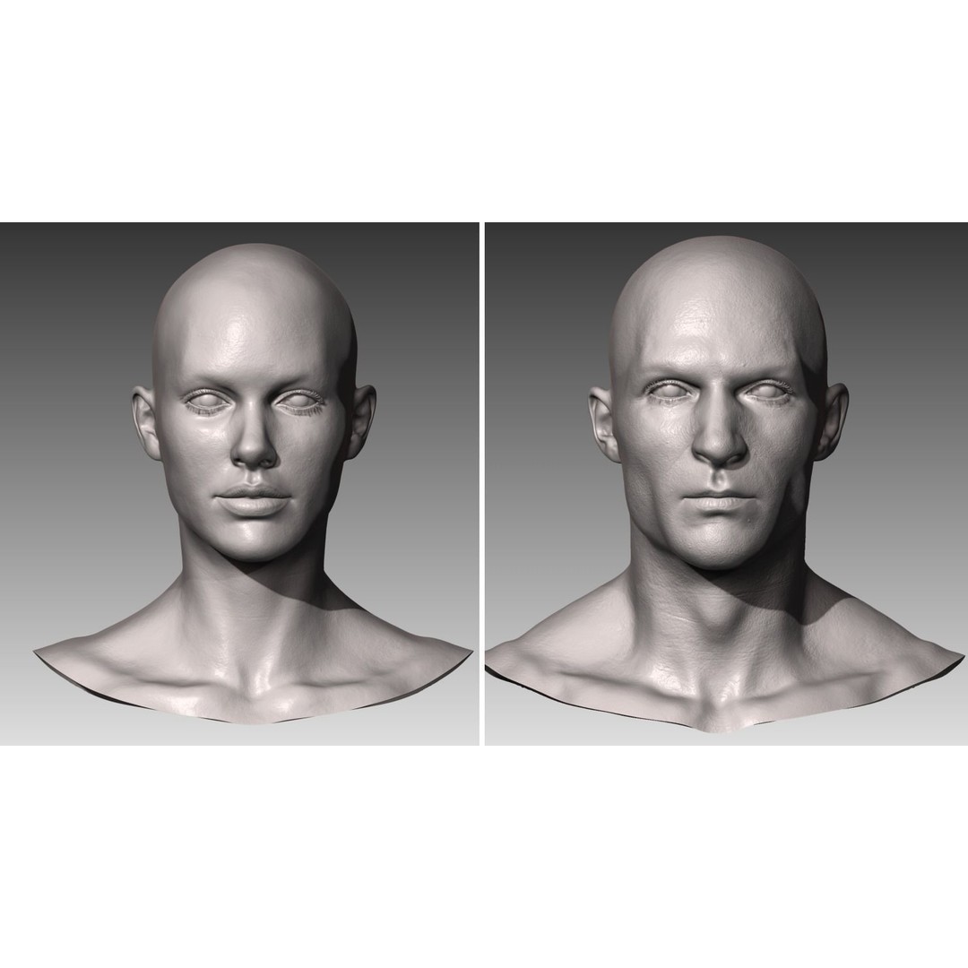 Realistic Male and Female Head 3D Model – High Poly ZBrush Anatomy - View 2