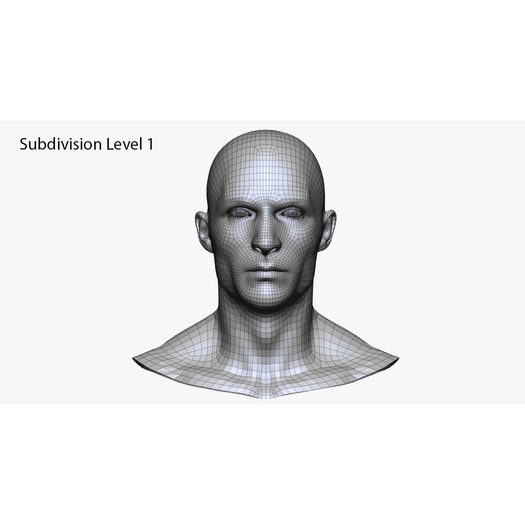 Realistic Male and Female Head 3D Model – High Poly ZBrush Anatomy - View 21